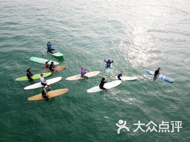 救援受困的火鸡