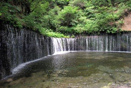 大方：中医药文化进机关  传承国粹送健康